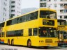 citybus_445_fully_yellow